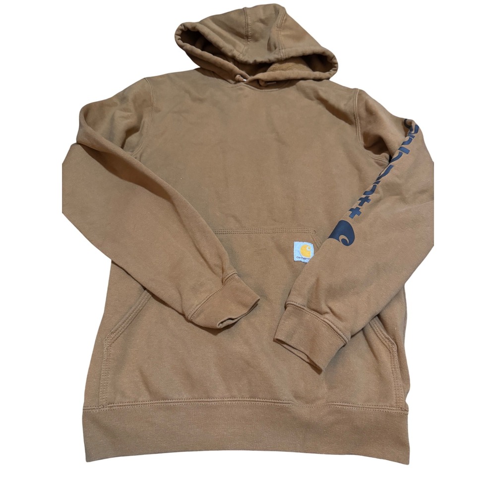 Carhartt Mens Loose Fit Graphic Sleeve Logo Hoodie Brown Sweatshirt Small W093